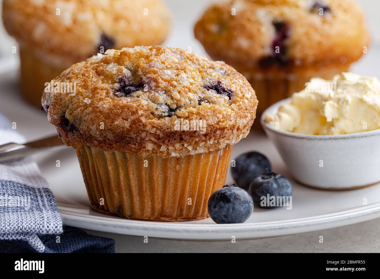 Closeup of a blueberry muffin and fresh berries on a white plate Stock Photo