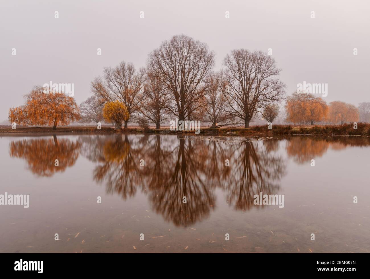 Autumn trees reflected in water Stock Photo