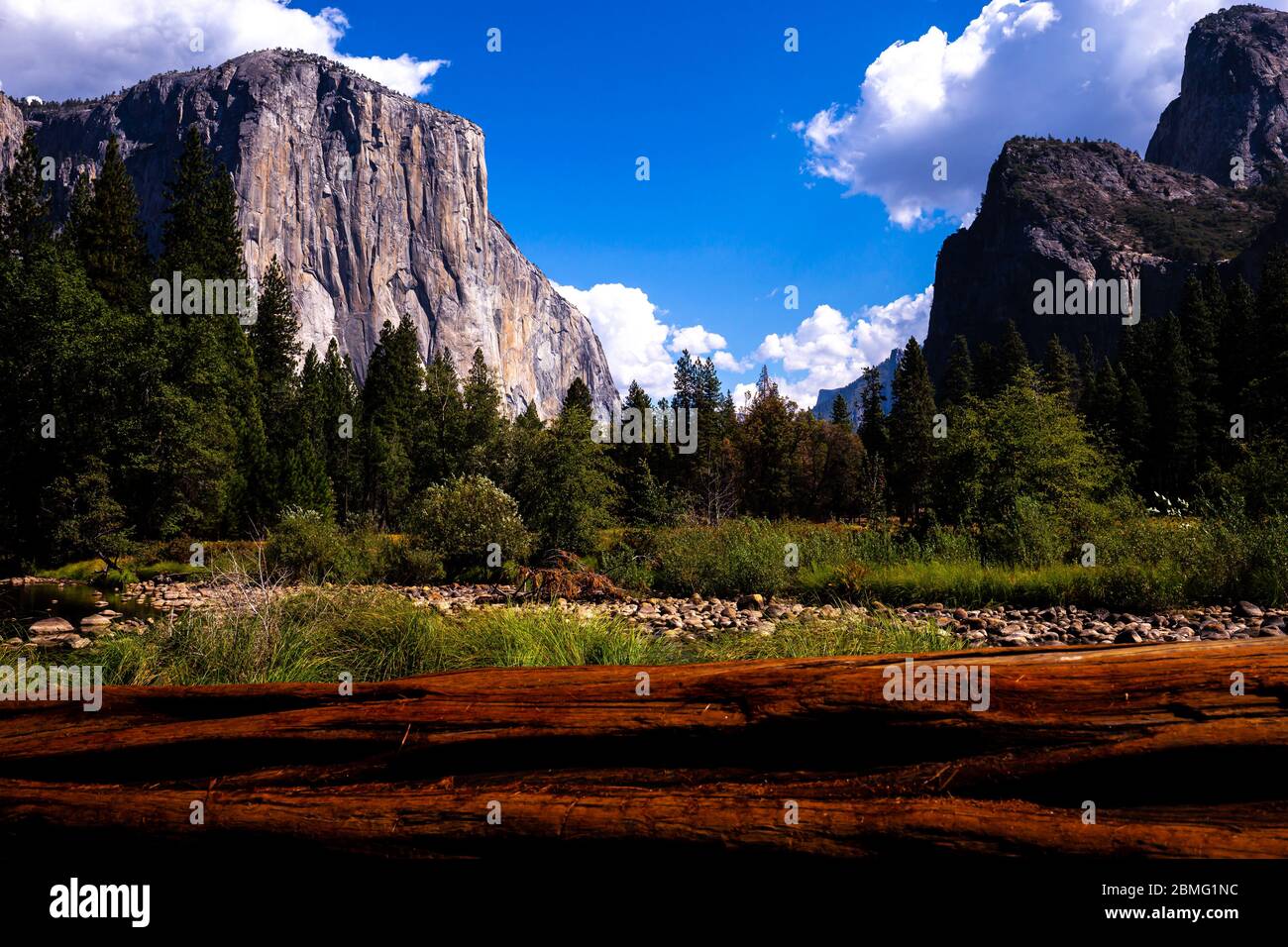 World famous rock climbing wall of El Capitan, Yosemite national park, California, usa Stock