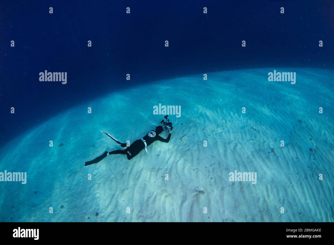 Free Diver Diving Underwater in the Red Sea Stock Photo - Alamy
