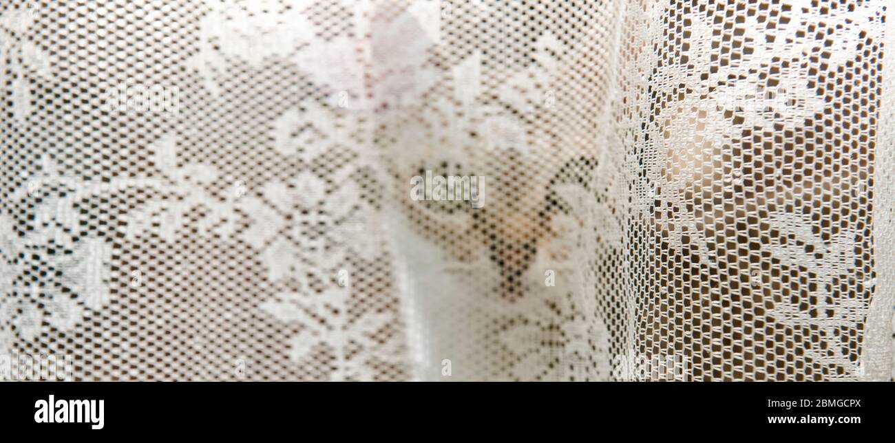 Panoramic of a partially obscured singapura cat’s face as it climbs in through a window in front of the net curtain Stock Photo