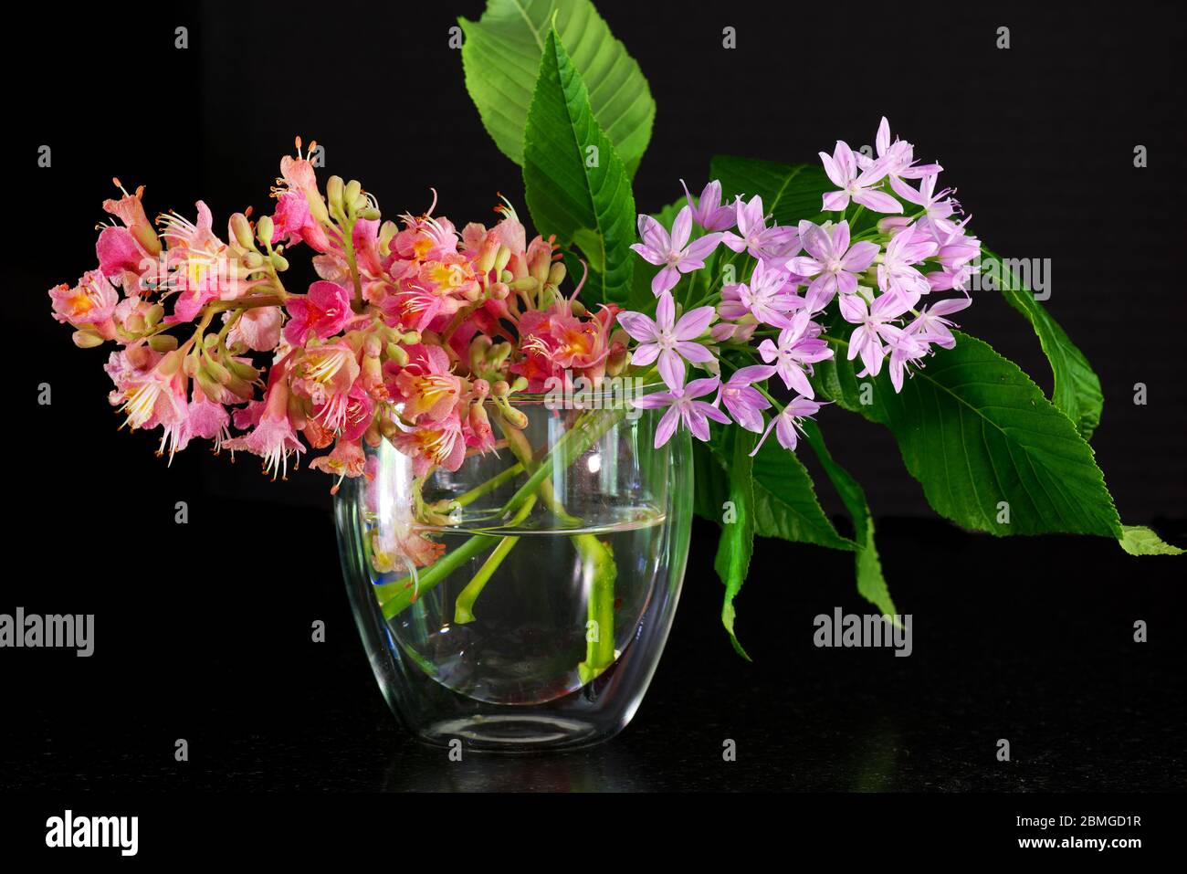 Floral arrangement of colorful spring flowers in full bloom Stock Photo