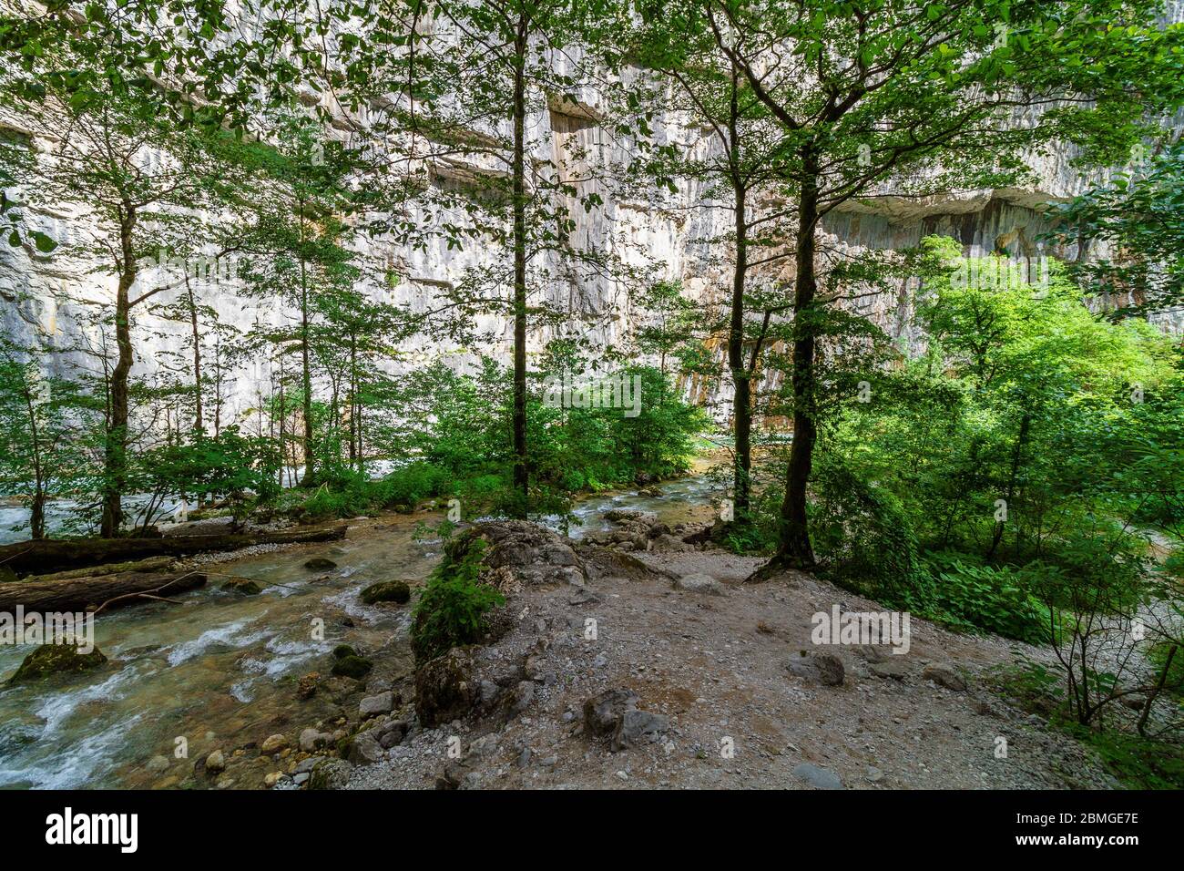 Stream flowing through mountain forest hi-res stock photography and ...