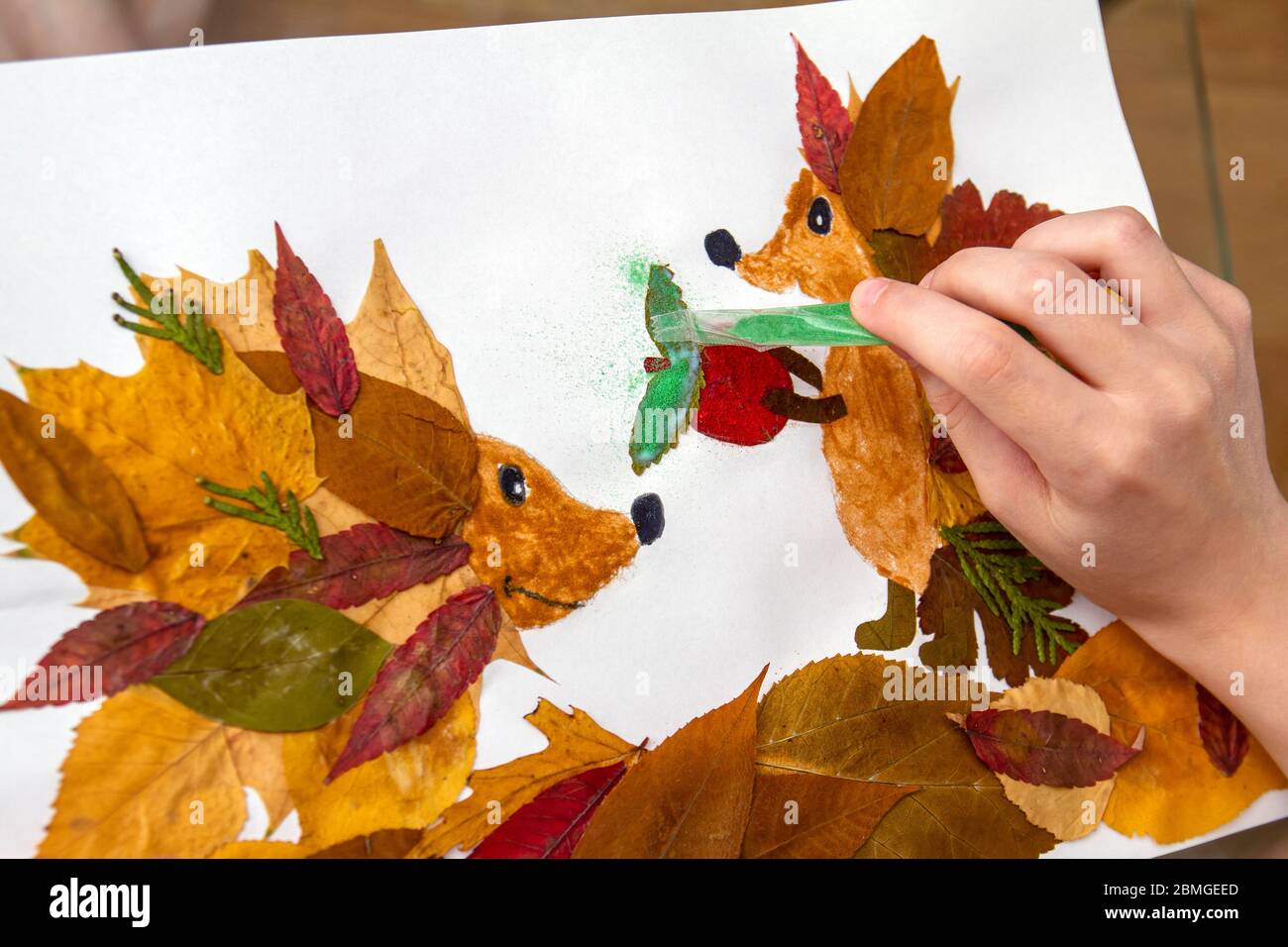 Girl makes an application from dry leaves. Children applique on the autumn  theme. Hedgehogs and apple Stock Photo - Alamy