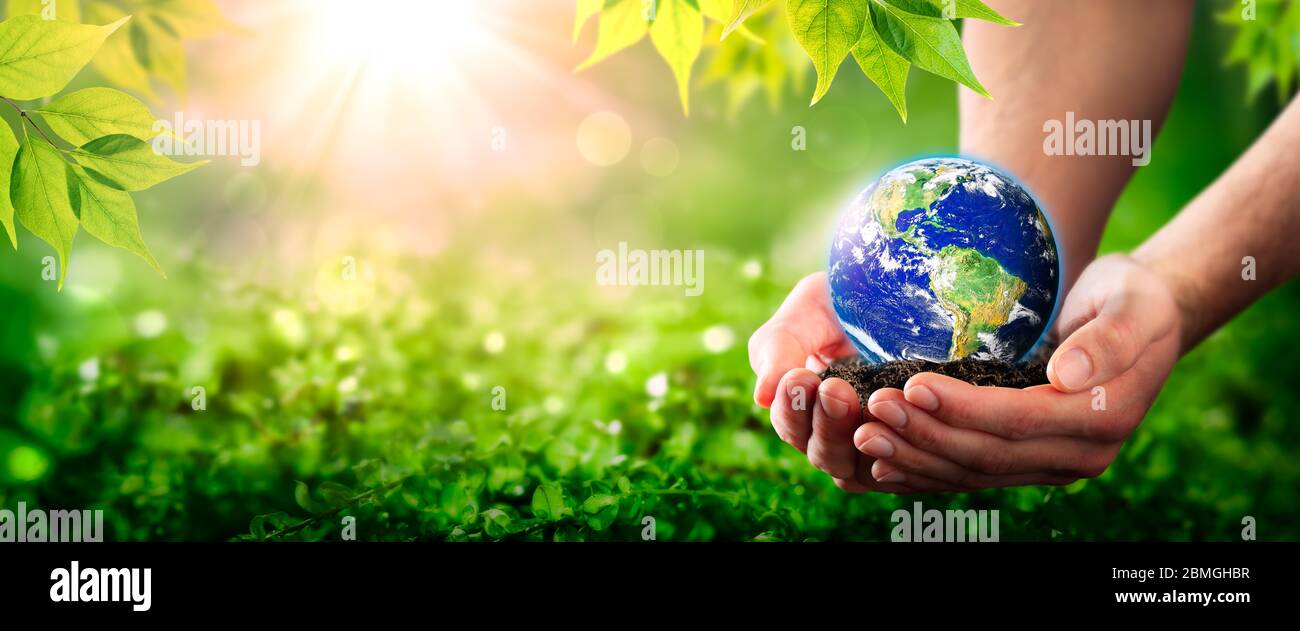Hands Holding Planet Earth On Soil In Lush Green Environment With Sunlight - The Environment Concept - Some Elements Of This Image Provided By NASA Stock Photo
