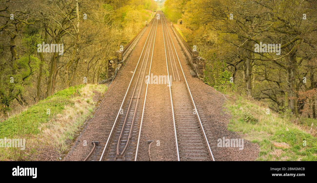 Two sets of railroad tracks run straight and parallel to a vanishing point on the horizon with