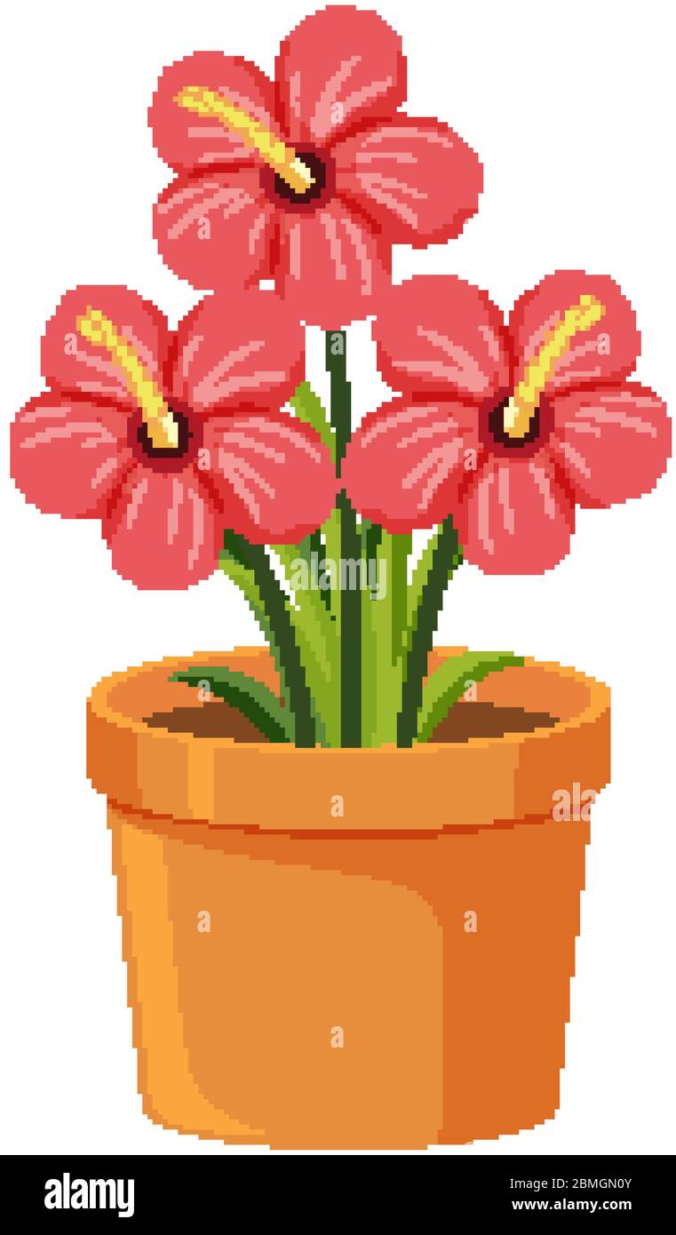 Red flowers in clay pot on white background illustration Stock Vector ...