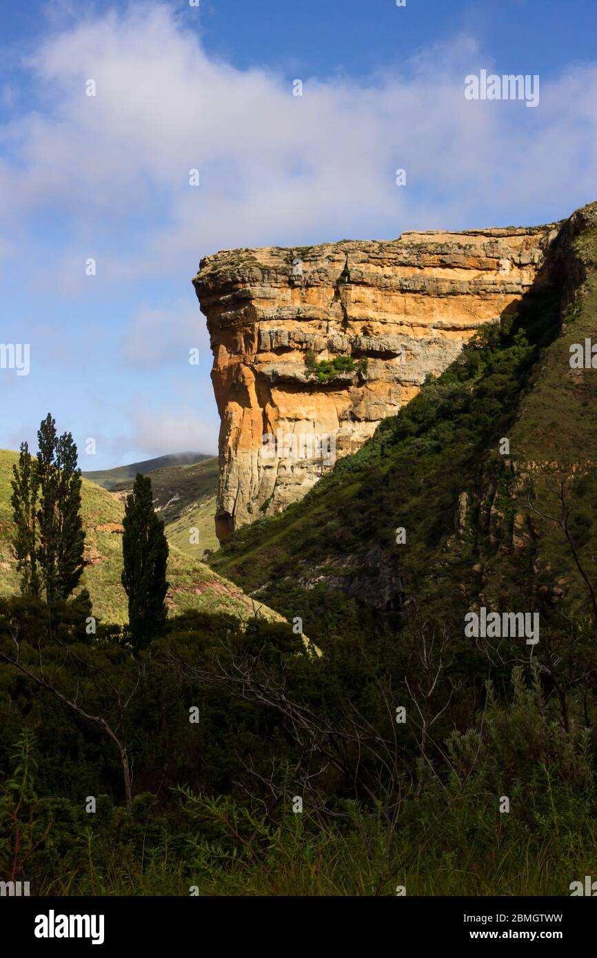 The golden colored Clarence Sandstone cliff of the Sentinel at the Golden Gate National park in the Drakensberg, South Africa Stock Photo