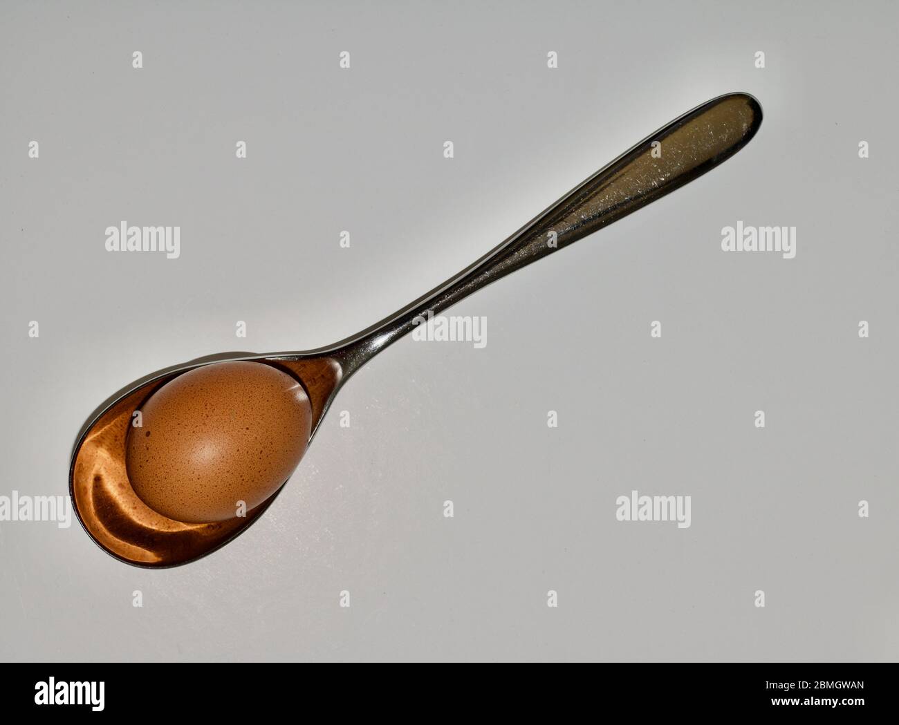 Large silver tablespoon holding a brown egg on white background Stock Photo