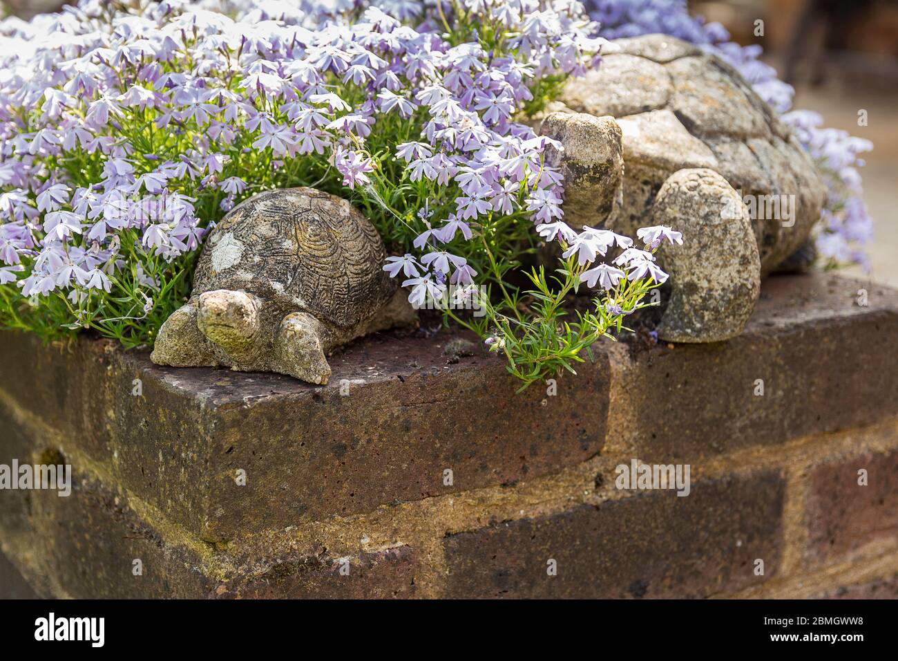 Garden soil filled low wall planted with various flowering plants and decorated with old concrete animals like these weathered tortoises. Stock Photo