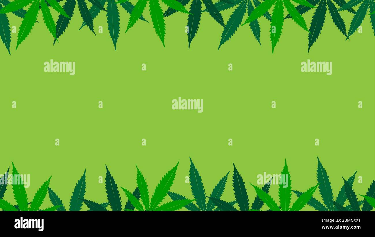 bright green background with hemp leaves seamless frame Stock Vector