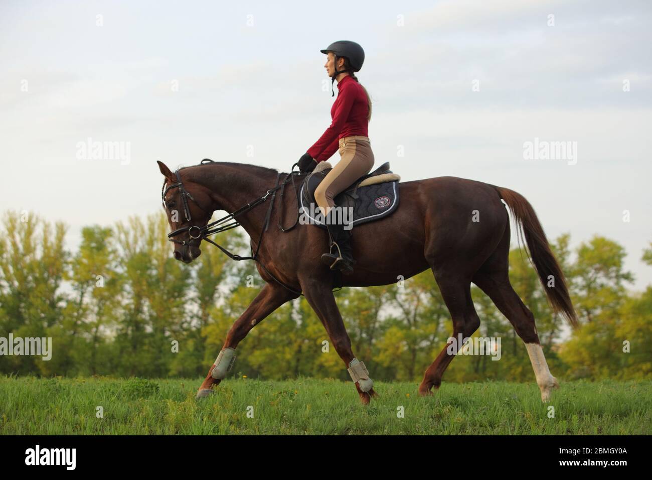 Dressage attire hi-res stock photography and images - Alamy