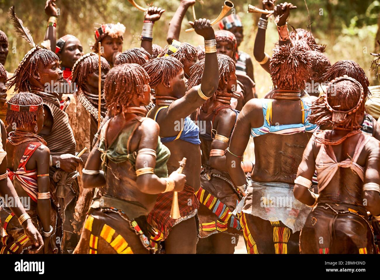 Hamer women are dancing at an initiation ceremony for a youth male. Every young male has to jump the bulls to become a man. Stock Photo
