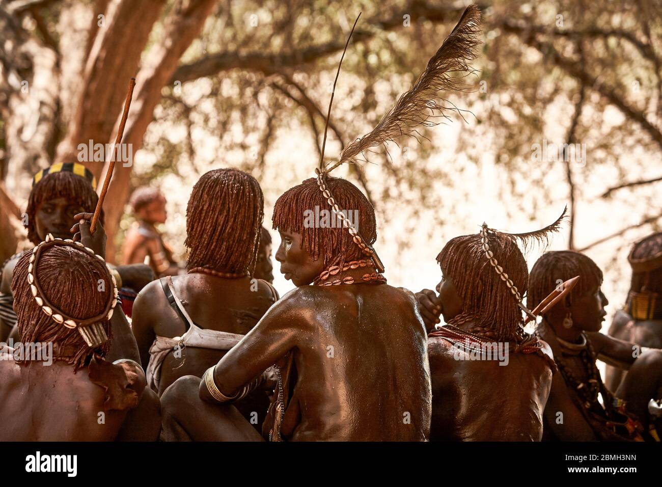Hamer women are siting in he shade of trees waiting for he beginning of an initiation ceremony for a youth male. Every young male has to jump the bull Stock Photo