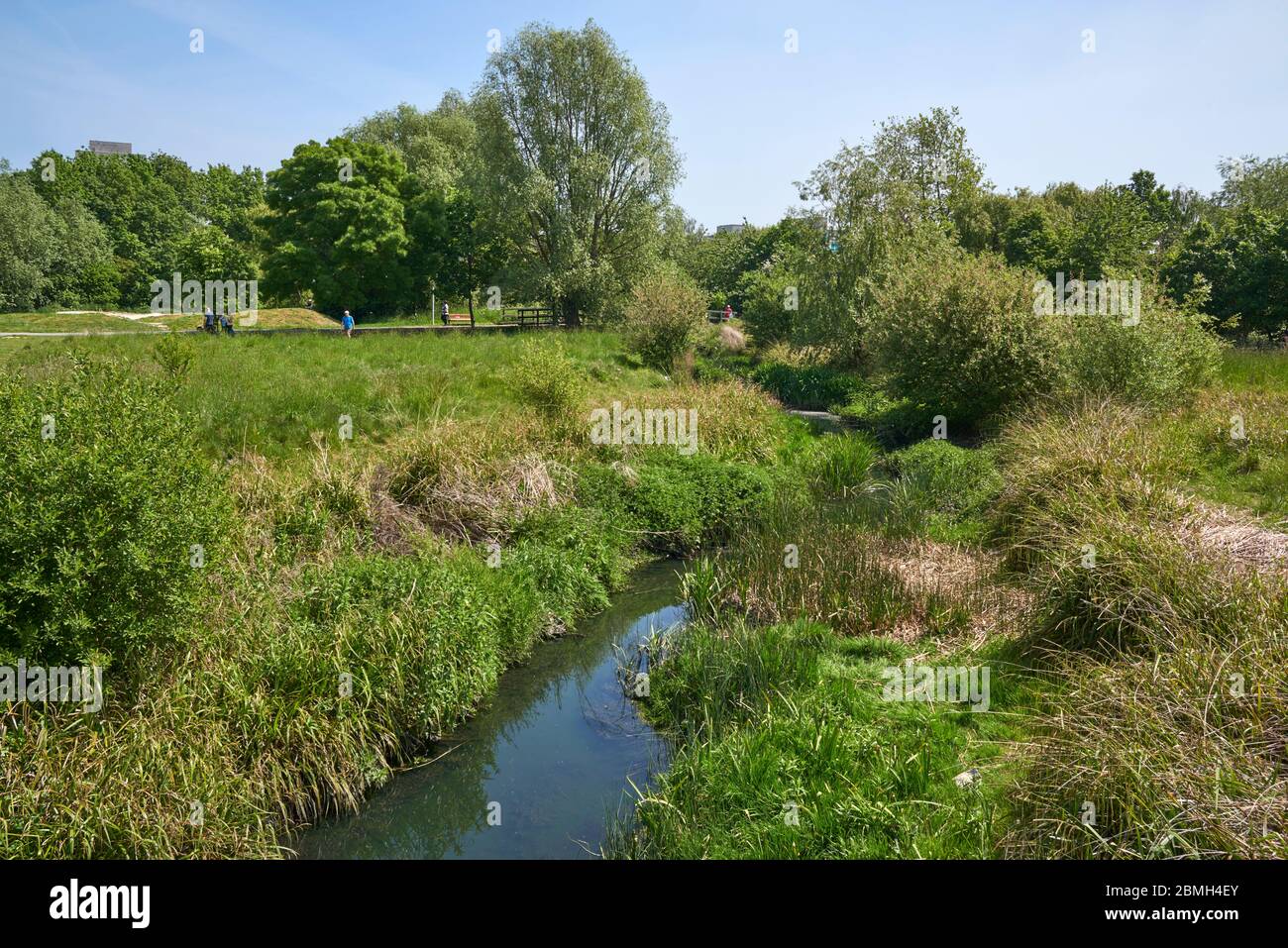 The River Moselle at Lordship Recreation Ground, Tottenham, North London, UK Stock Photo