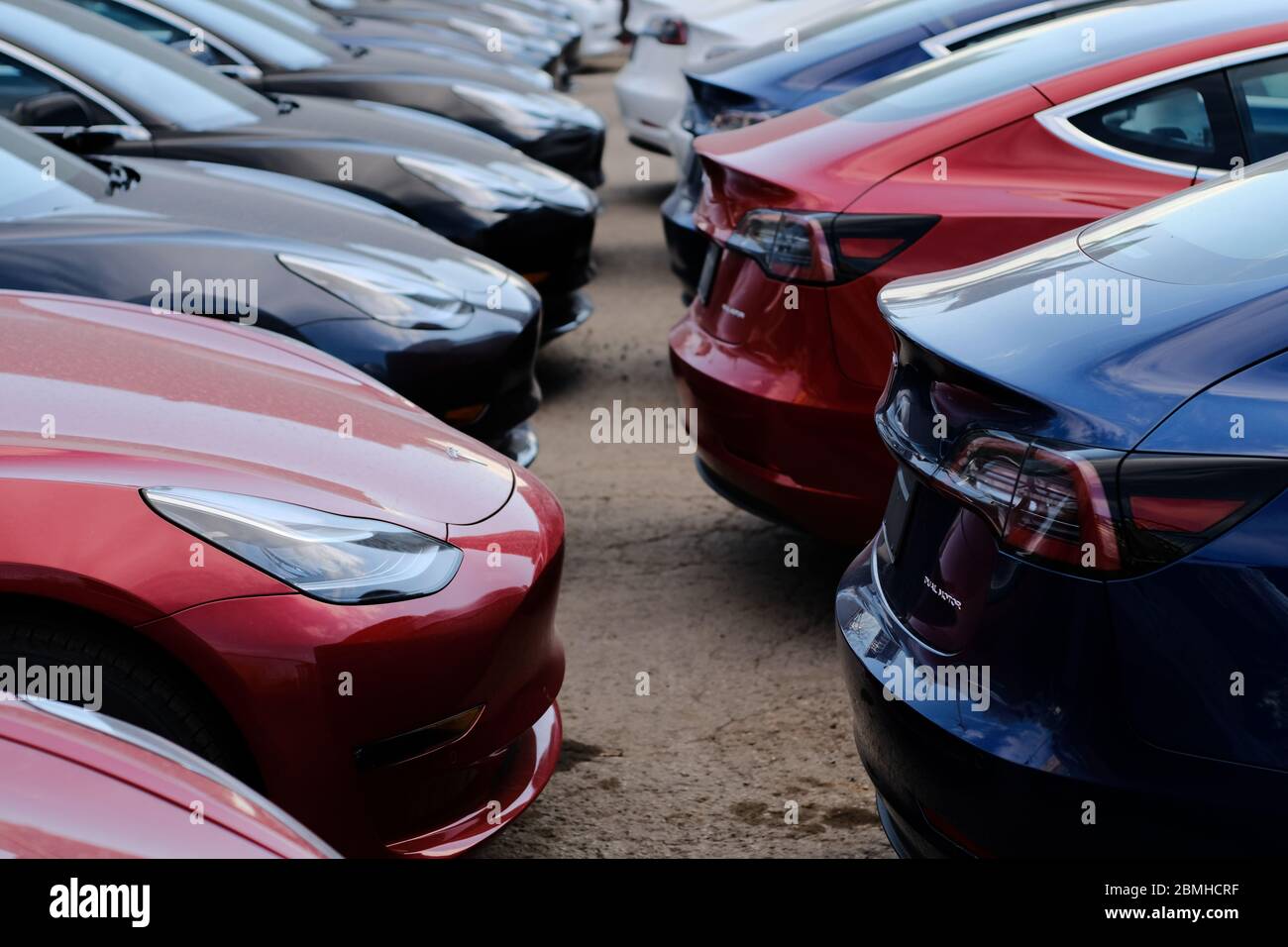 Rows Of Brand New Tesla Model 3 Blue And Red And Black Behind The Tesla Service Center On Carling Ave In Ottawa Ontario Canada Stock Photo Alamy Rows Of Brand New Tesla Model 3 Blue And Red And Black Behind The Tesla Service Center On Carling Ave In Ottawa Ontario Canada Stock Photo Alamy