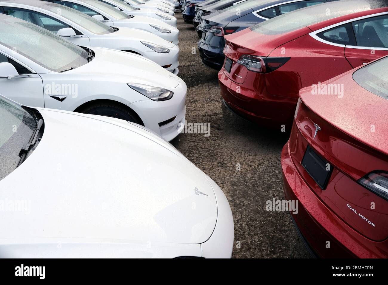 Unsold Tesla Model 3 piling up behind the Tesla Service Center on