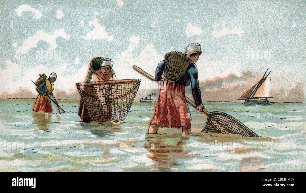 'La peche aux crevettes dans des filets' (Fishing the shrimps with nets) Chromolithographie de la fin du 19eme siecle Collection privee Stock Photo
