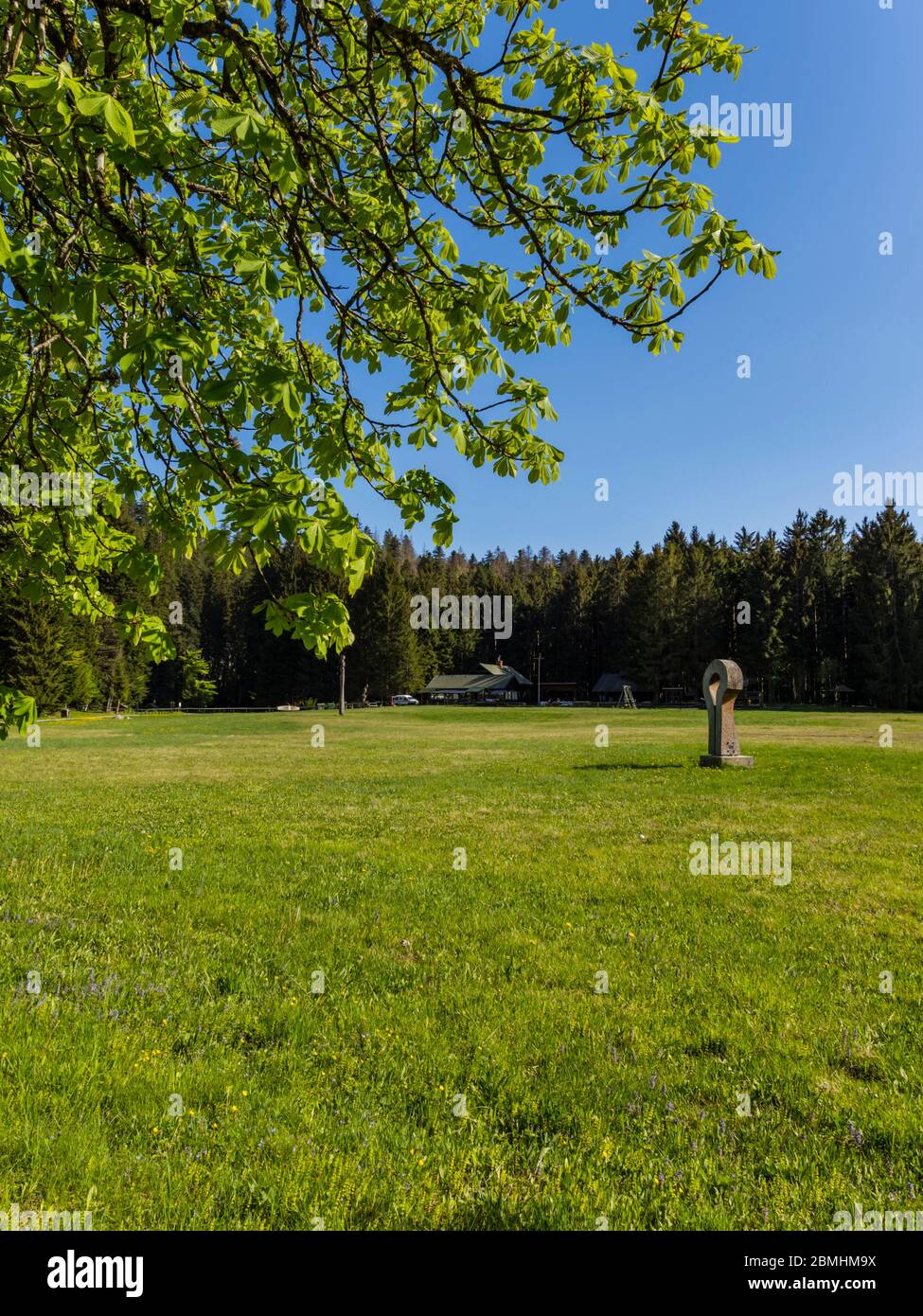 Preserved forest resort Golubinjak near Lokve Croatia Europe Stock Photo