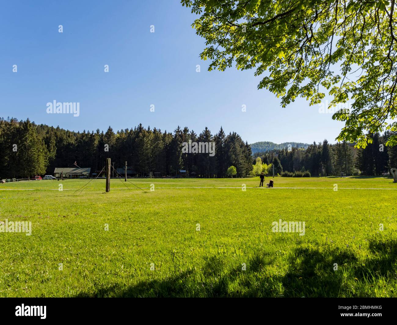 Preserved forest resort Golubinjak near Lokve Croatia Europe visitors people with dog walking walk Stock Photo