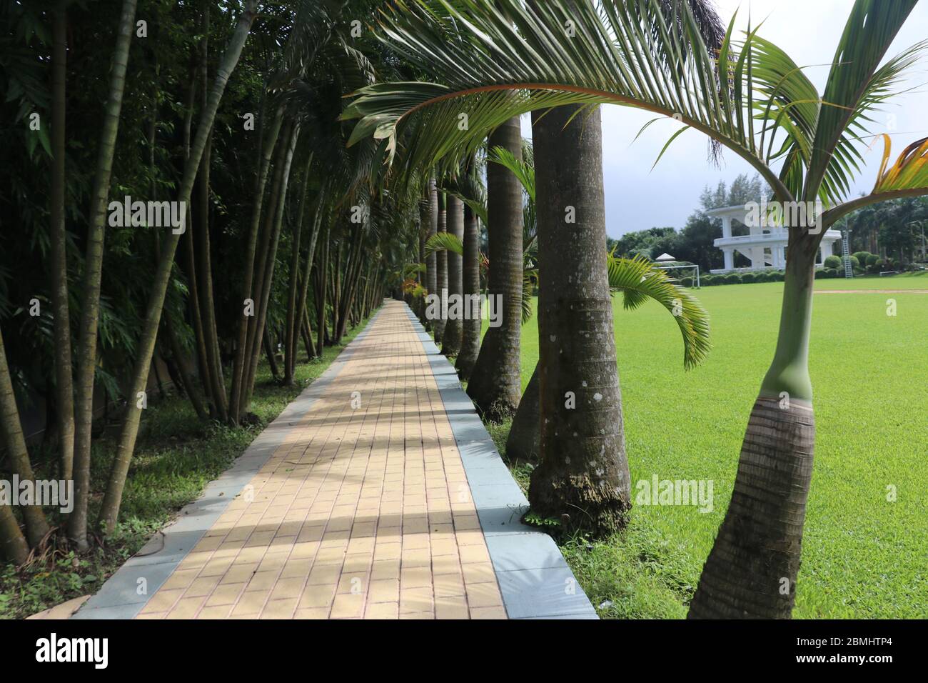 Walking pathways inside the park and useful for morning walk. Stock Photo
