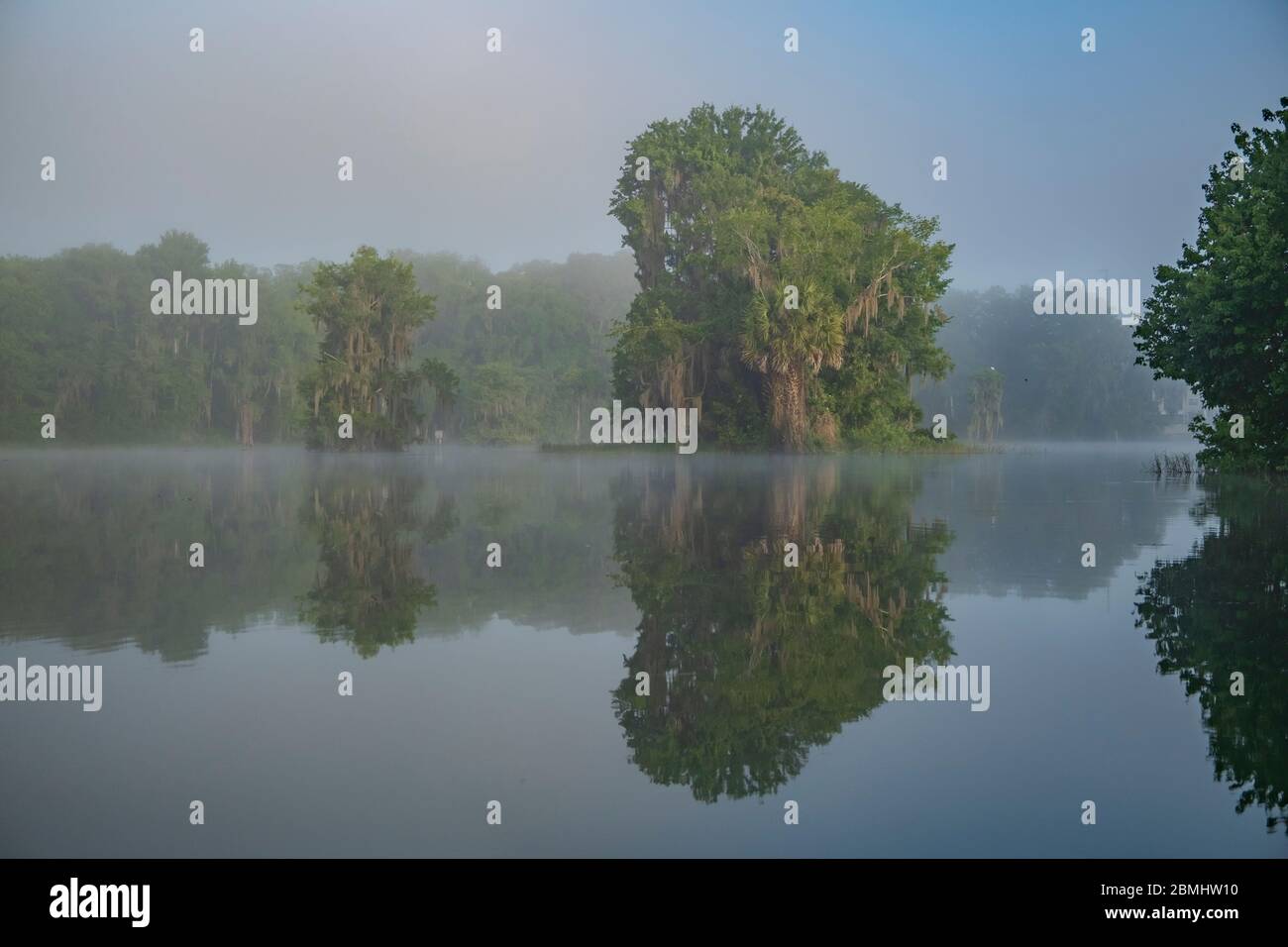 Trees reflecting in the calm earl morning water of the scenic Rainbow River. Dunnellon, Florida, A North Central Florida spring fed river and popular Stock Photo