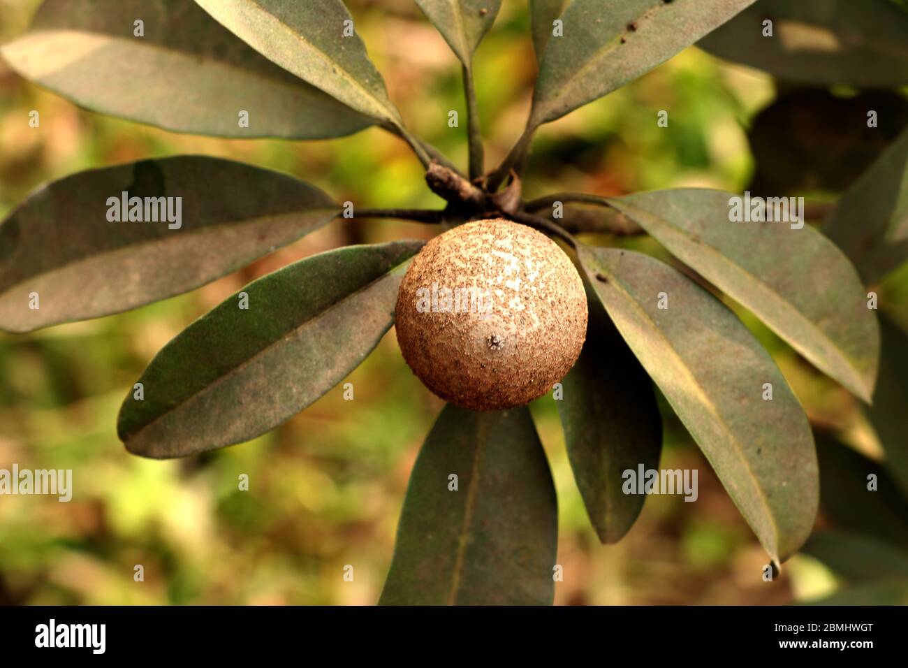 Opam jinsiy aloqa qilishni xohlayotganini aytdi.