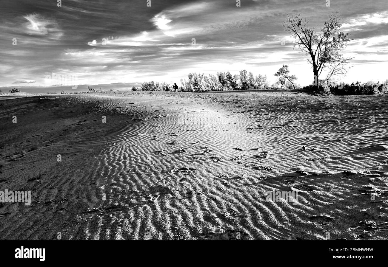 Sandbanks provincial park ontario Black and White Stock Photos & Images ...