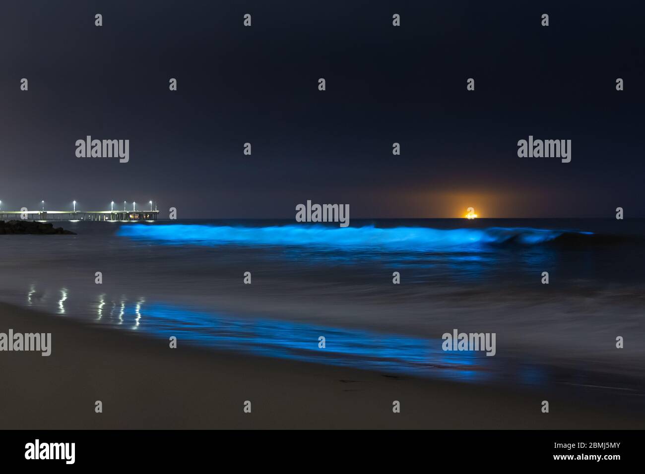 Waves of bioluminescence from glowing plankton in pacific ocean, Venice