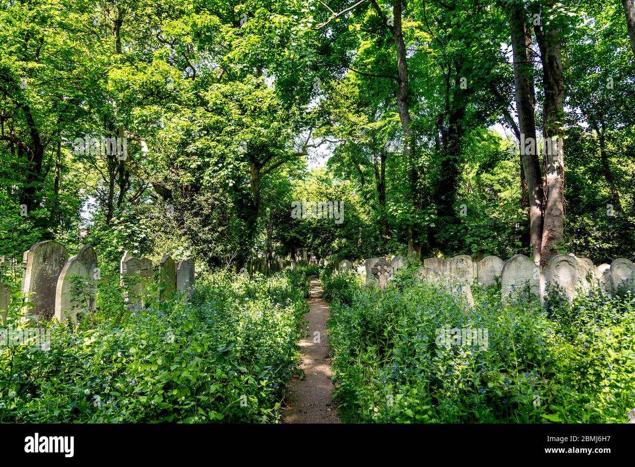 Tower Hamlets Cemetery Park High Resolution Stock Photography and