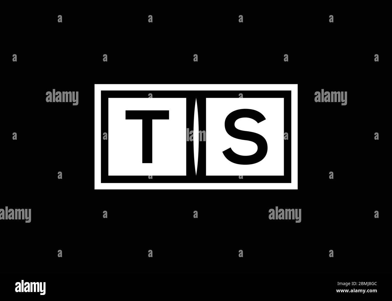Initial Monogram Letter T S Logo Design Vector Template. Graphic ...