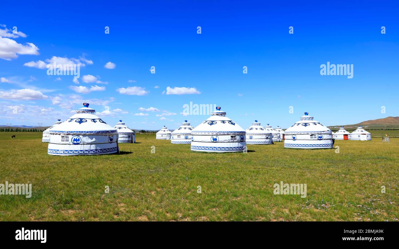 Mongolian yurt on the grassland Stock Photo - Alamy