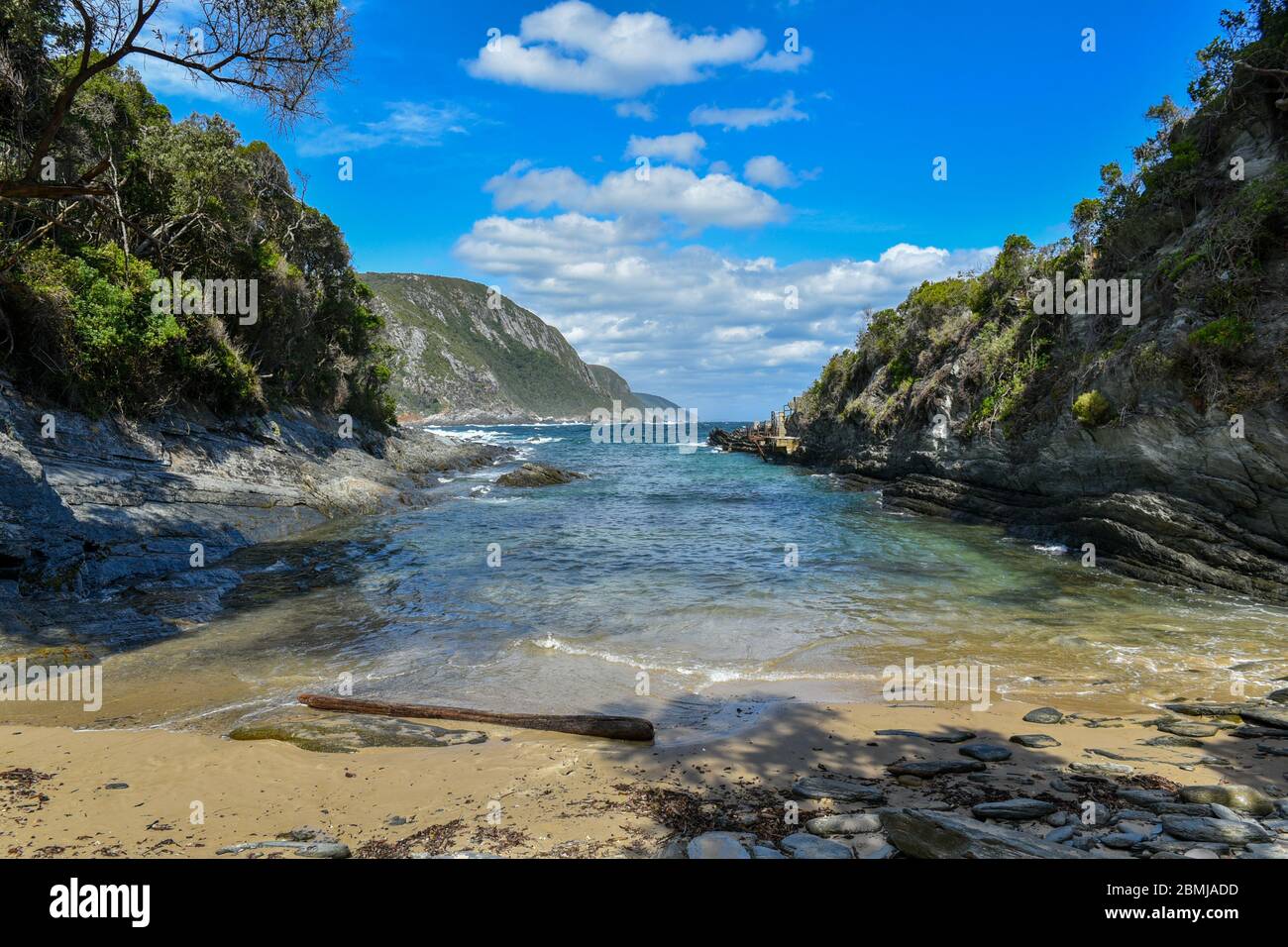 Tsitsikamma (Garden Route) National Park, Garden Route, South Africa Stock Photo