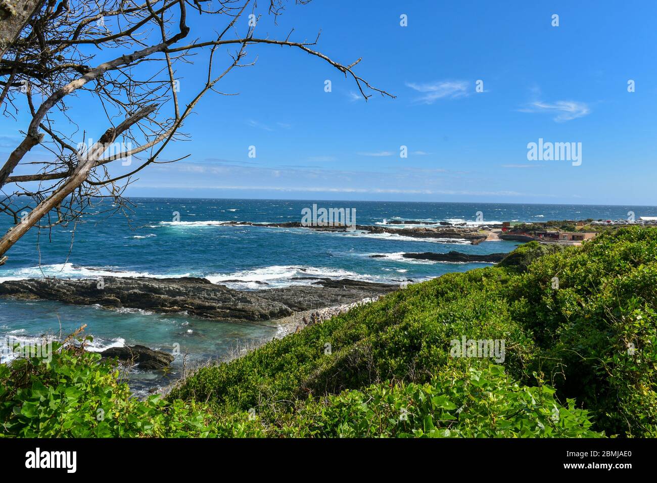 Tsitsikamma (Garden Route) National Park, Garden Route, South Africa Stock Photo