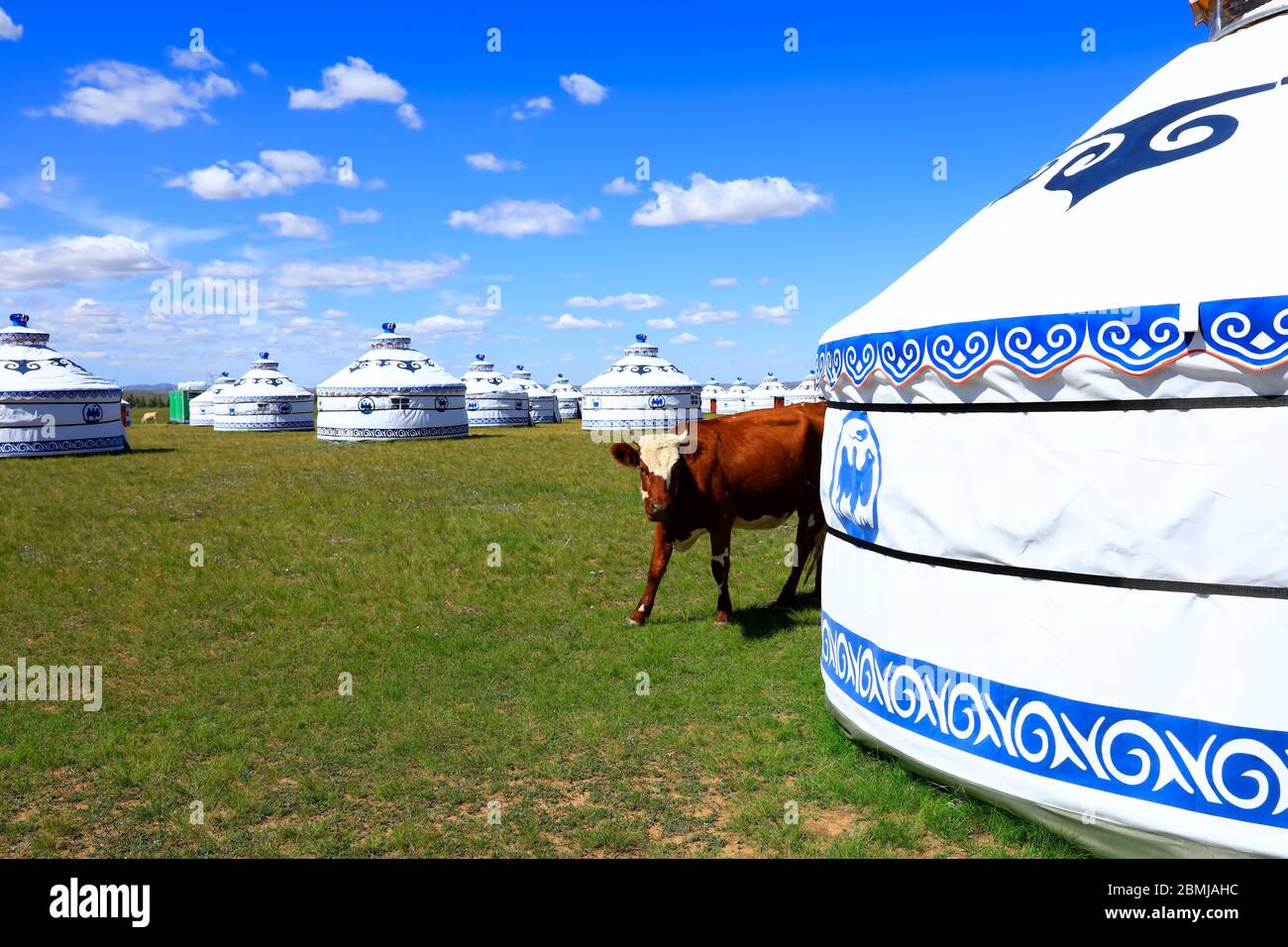 Mongolian yurt on the grassland Stock Photo - Alamy