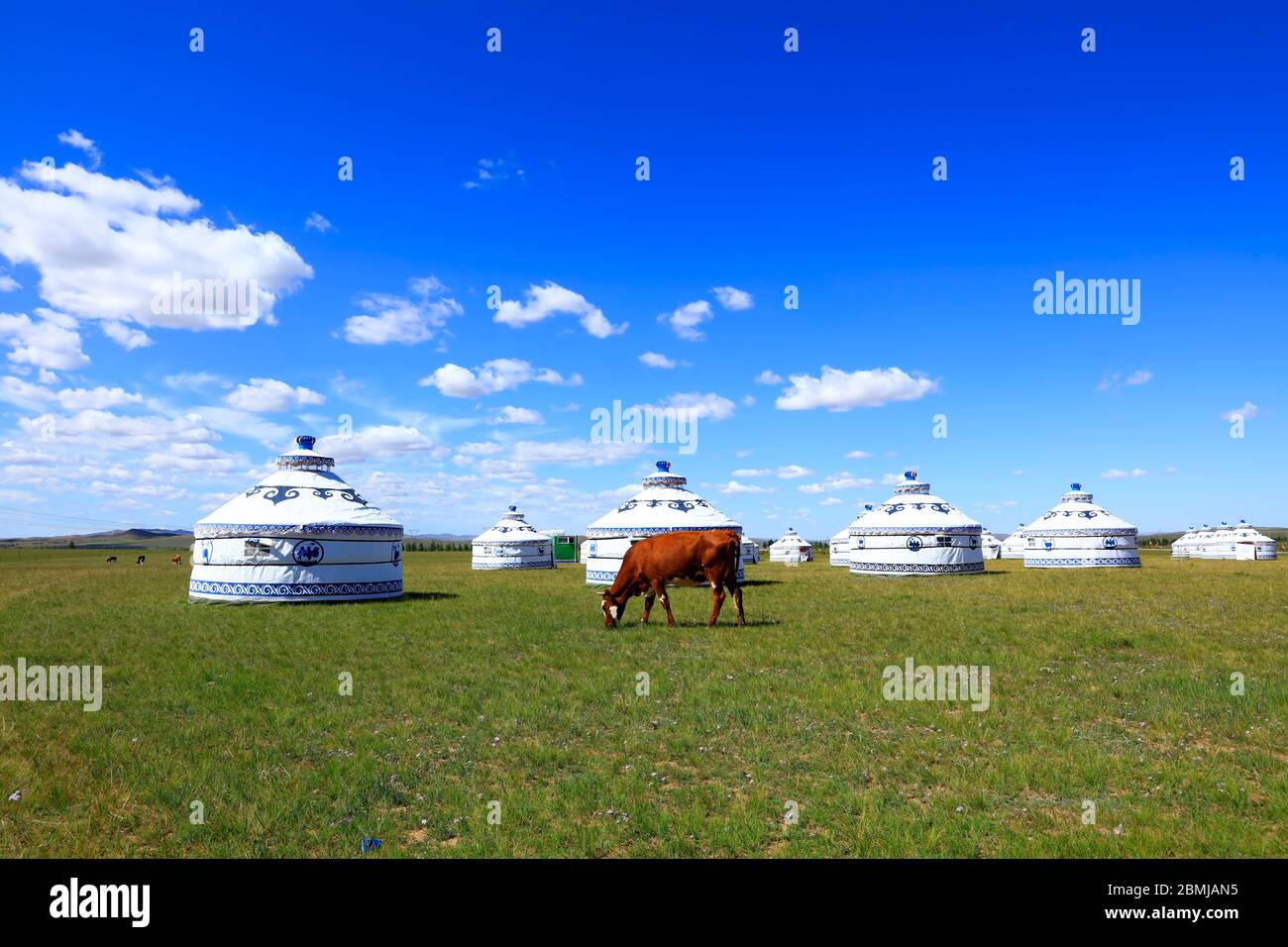 Mongolian yurt on the grassland Stock Photo - Alamy