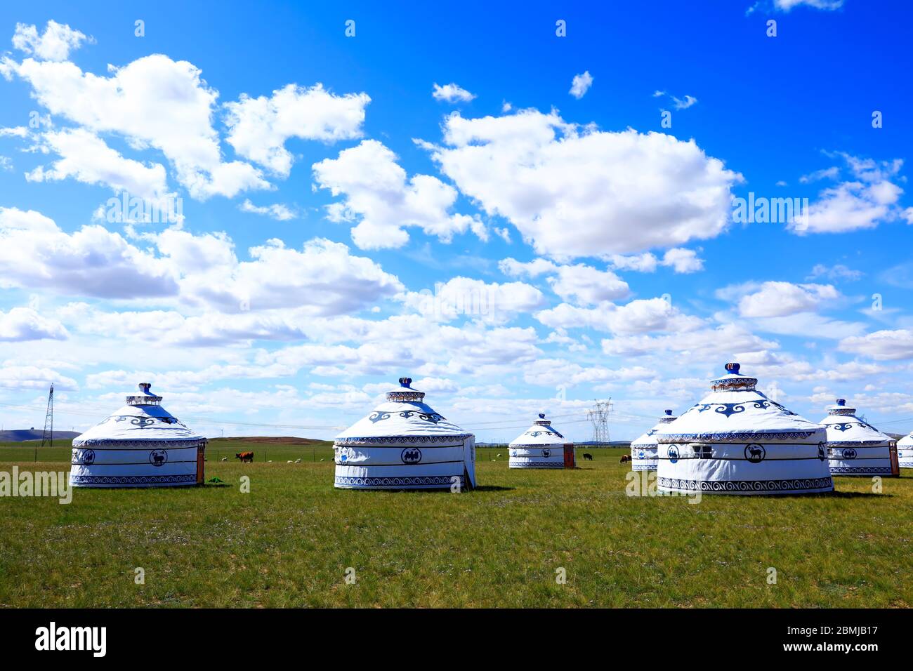 Mongolian yurt on the grassland Stock Photo - Alamy