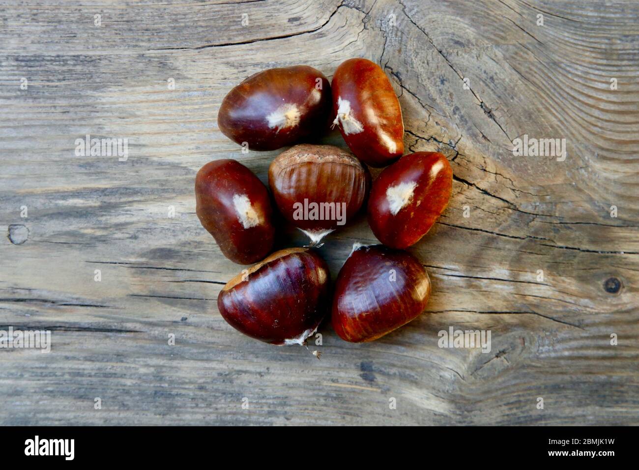 Chestnut wallpaper hi-res stock photography and images - Alamy
