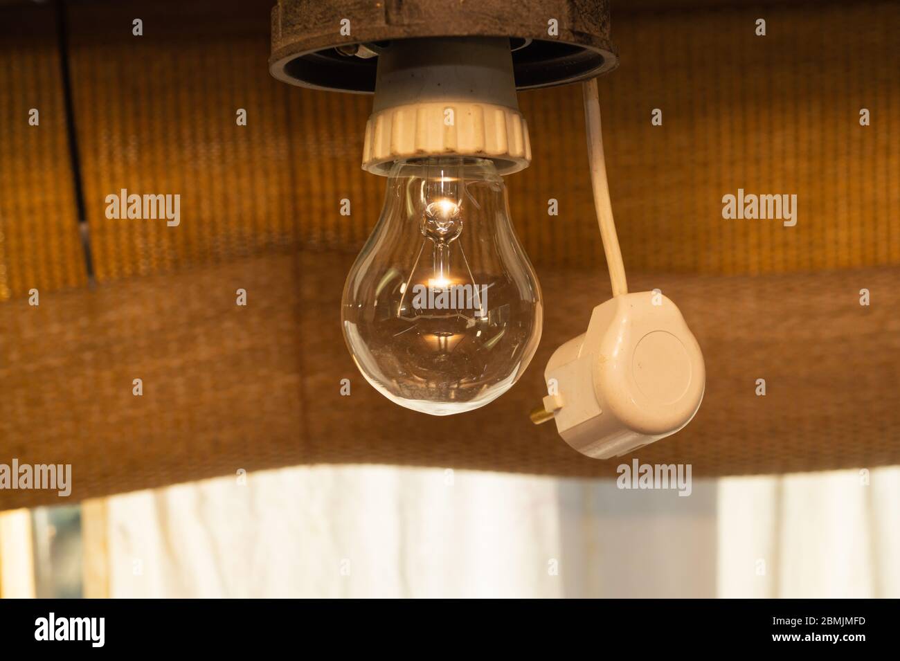 Incandescent lamp. hanging light bulb and electric plug Stock Photo