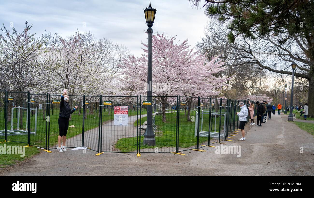 Trinity Bellwoods Park Activities