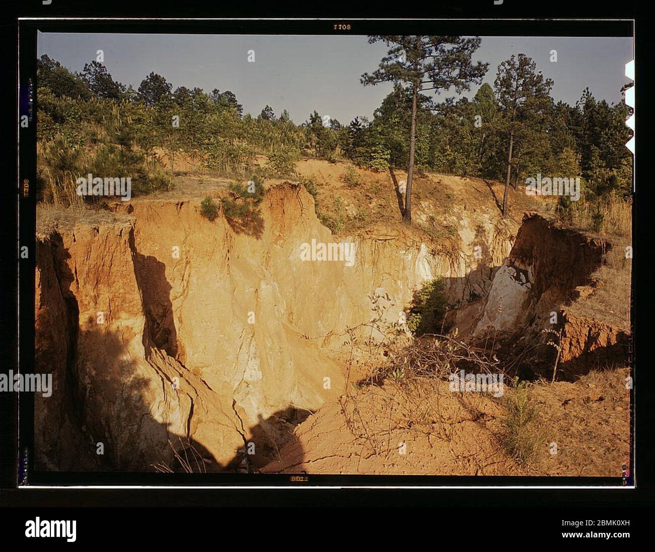 [Greene Co., Ga., eroded farm land] (LOC) by The Library of Congress 2