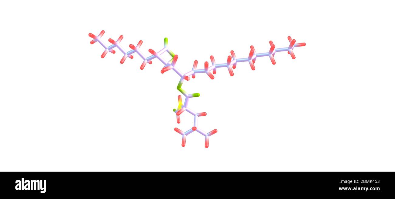 Orlistat is a drug designed to treat obesity.Its primary function is