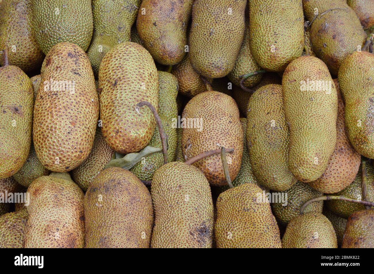 Chempedak High Resolution Stock Photography and Images - Alamy