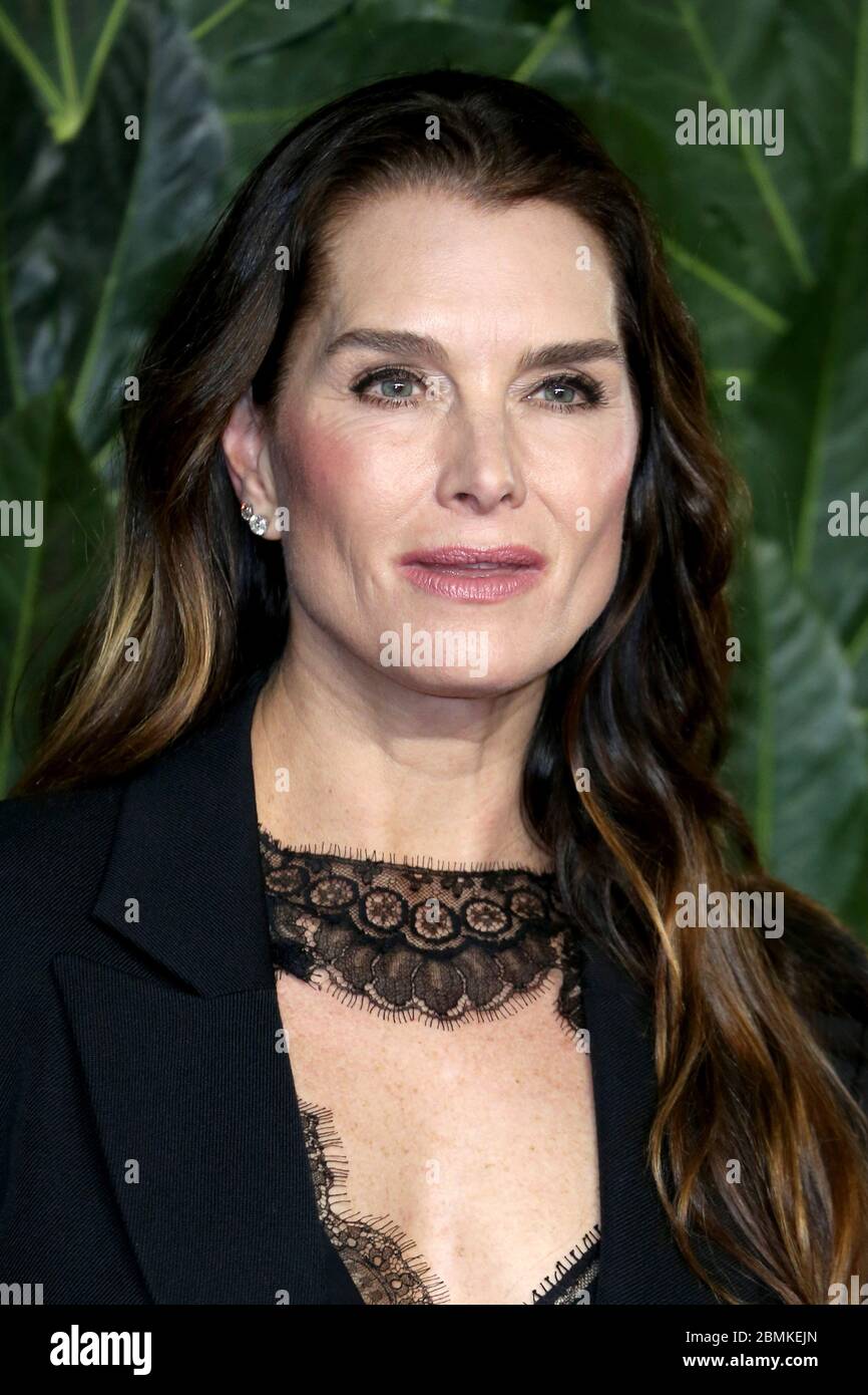 Brooke Shields attends The Fashion Awards 2018 In Partnership With
