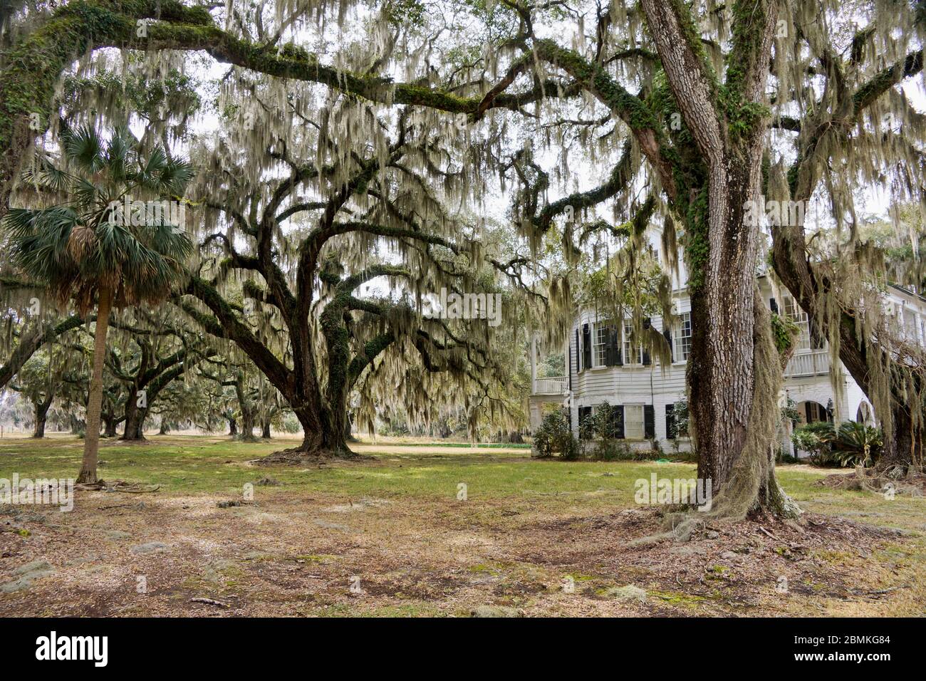 The Grove Plantation in ACE Basin National Wildlife Refuge in Hollywood