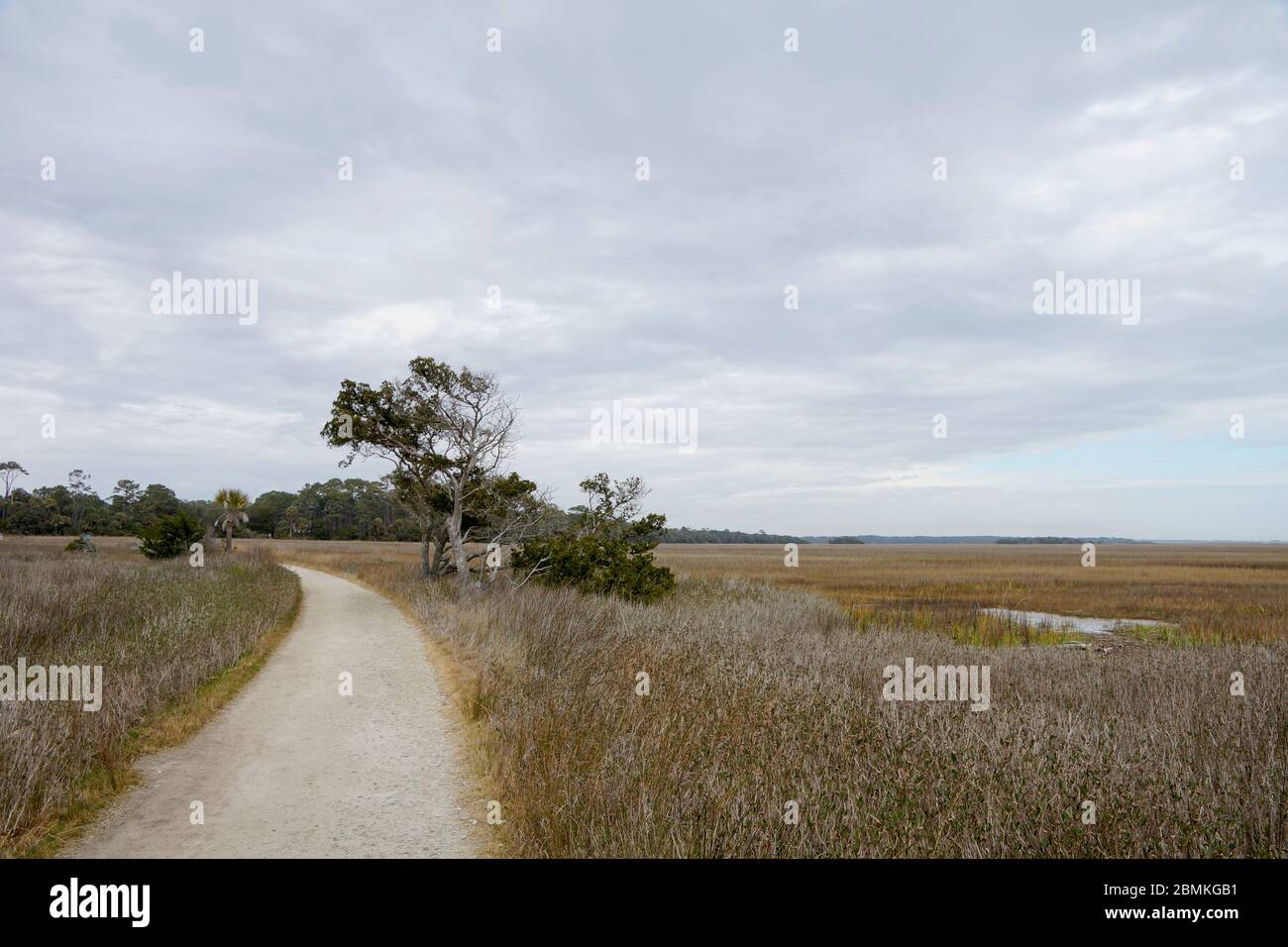 Botany Bay Plantation Heritage Preserve and Wildlife Management Area on