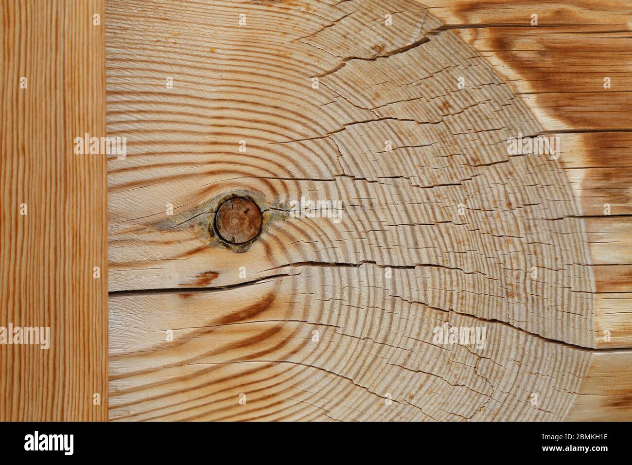Annual rings and cracks on a tree cut Stock Photo - Alamy