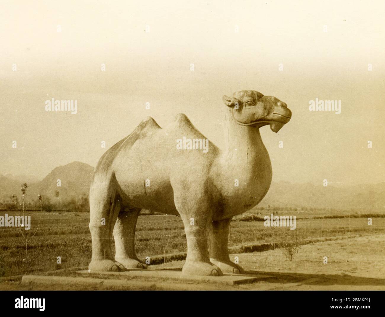 1956 - dromedary statue on the sacred way leading to the Ming tombs, China Stock Photo