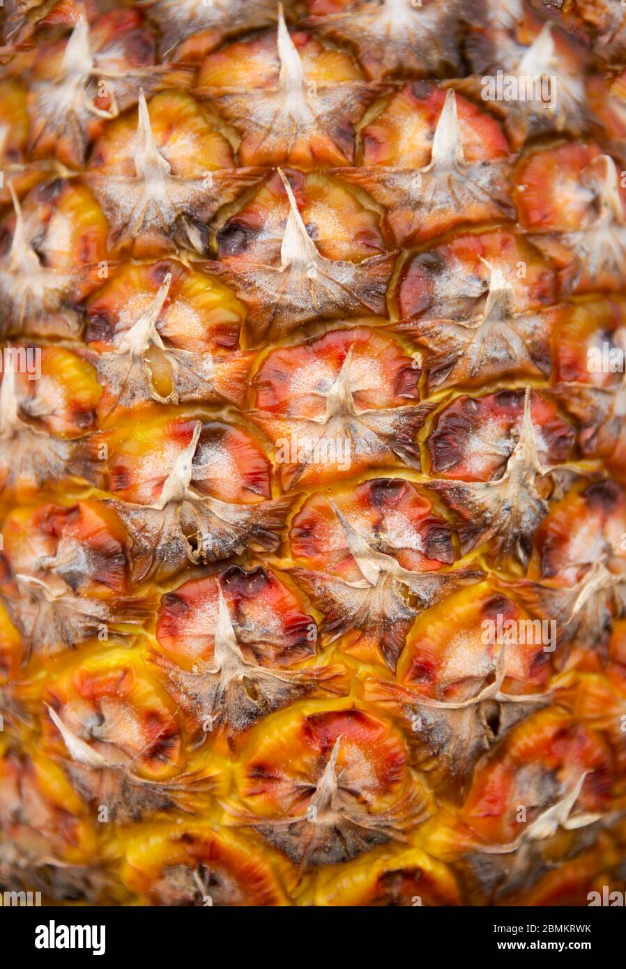 Ripe pineapple skin texture, exotic fruit background Stock Photo