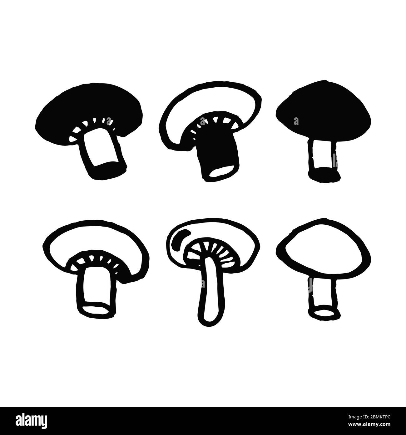 Set champignon mushrooms in doodle style isolated on white background. Vector hand drawn outline and silhouette simple illustration. Eco product. Heal Stock Vector